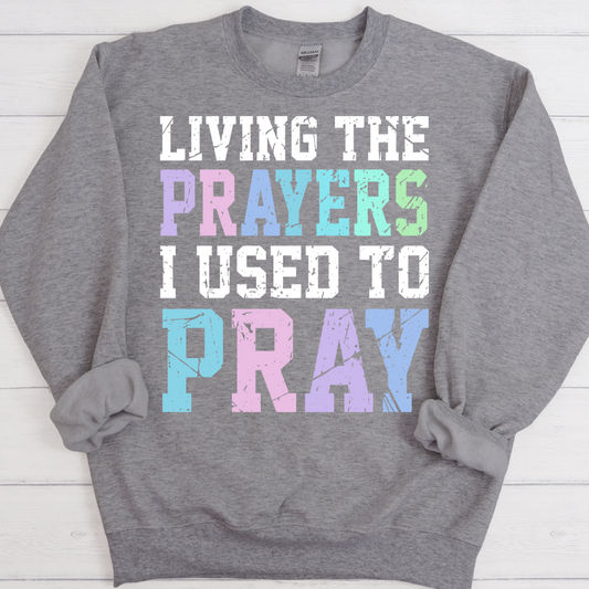 Living the Prayers I Used To Pray Adult Graphic Shirt